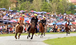 Huyện Bắc Hà tổ chức Festival với chủ đề “Vũ điệu cao nguyên trắng” nhằm giới thiệu, quảng bá tiềm năng, thế mạnh và các sản phẩm du lịch độc đáo như: Lễ hội đua ngựa, mận Tam Hoa, ẩm thực Bắc Hà. Ảnh: Quốc Khánh