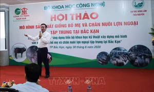 Các nhà khoa học giới thiệu mô hình tại hội thảo. Ảnh: Vũ Hoàng Giang – TTXVN