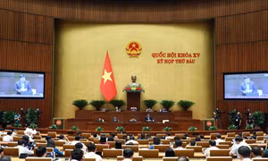 Bộ trưởng Bộ Kế hoạch và Đầu tư Nguyễn Chí Dũng giải trình, làm rõ một số vấn đề đại biểu Quốc hội nêu. Ảnh: Phạm Kiên - TTXVN