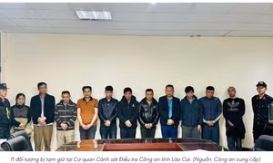 Phá đường dây mua bán, vận chuyển trái phép gần 5 tấn chất độc ở Lào Cai