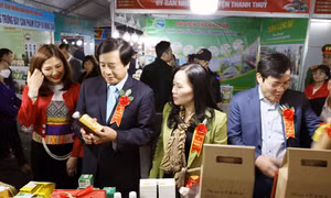 Khai mạc Hội chợ thương mại và sản phẩm OCOP tỉnh Phú Thọ năm 2025