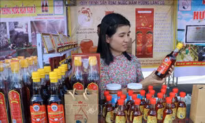 Các sản phẩm nước mắm do làng nghề Nam Ô sản xuất. Ảnh: Trần Lê Lâm - TTXVN