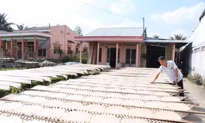 Mỹ Lồng - Làng nghề bánh tráng hơn 100 năm tuổi vào Xuân