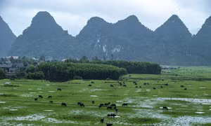  Chạm vào "miền cổ tích" ở Tân Hóa
