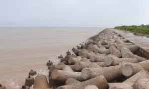 Cà Mau ứng phó với diễn biến sạt lở, sụt lún đất ven sông, ven biển