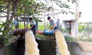 Nắng nóng kéo dài, nguy cơ khô hạn cục bộ tại vùng lúa Đắk Lắk
