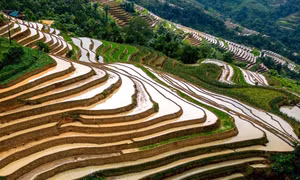 Khuổi My lấp lánh mùa nước đổ