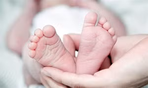 Chế độ ăn nhiều rau củ giúp giảm nguy cơ sinh non