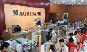 Dịch COVID-19: Agribank tăng mức hỗ trợ với gói tín dụng 100.000 tỷ đồng
