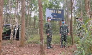 Dịch COVID-19: Từ ngày 18/3, tỉnh Quảng Ninh lập 8 chốt kiểm soát người và phương tiện ra vào