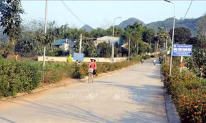 Tuyên Quang: Những đảng viên gương mẫu đi đầu ở cơ sở 