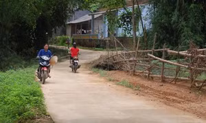 Trên 209.000 lượt hộ dân Lào Cai được hưởng lợi từ Chương trình 135