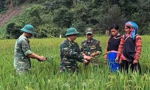 Dấu ấn người lính quân hàm xanh trong lòng đồng bào nơi biên cương tỉnh Lai Châu