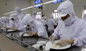 Dây chuyền sản xuất yến sào ở Khánh Hòa. Ảnh: Vũ Sinh - TTXVN