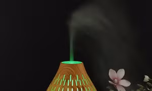 Pháp cảnh báo về tác dụng không mong muốn của thiết bị khuếch tán tinh dầu