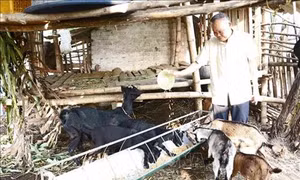Già làng Trương Viết Văn tiên phong vận động đồng bào Thổ xây dựng nông thôn mới