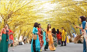 Rộn ràng Lễ hội Tết Việt Canh Tý năm 2020