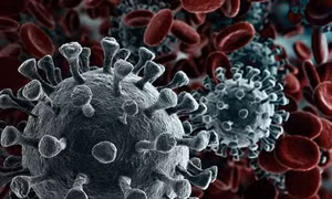Các địa phương tích cực triển khai các biện pháp phòng dịch bệnh do chủng mới virus Corona