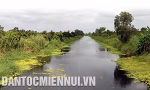Vườn Quốc gia U Minh Thượng chủ động phòng chống cháy rừng