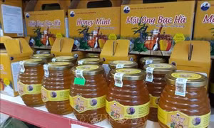 Sản vật từ cao nguyên đá