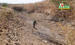 Đắk Nông: Hạn hán đe dọa hàng nghìn héc ta cây trồng