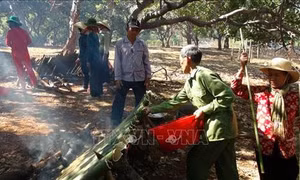 Tết sớm tại vùng biên Bình Phước
