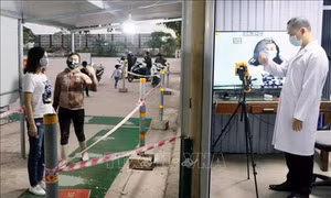 Dịch COVID-19: Quảng Ninh tạm dừng hoạt động tham quan vịnh Hạ Long và các di tích khác từ ngày 12/3
