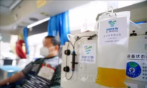 Dịch viêm đường hô hấp cấp COVID-19: Huyết tương của người khỏi bệnh có tác dụng tích cực trong điều trị bệnh nhân nhiễm SARS-CoV-2