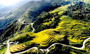 Sắc xuân trên đỉnh Hồng Thái