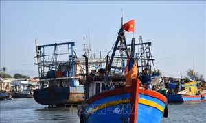 Ngư dân Bình Châu vươn khơi, bám biển