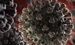  Séc sáng chế lớp màng lọc rời tăng hiệu quả phòng ngừa virus SARS-CoV-2