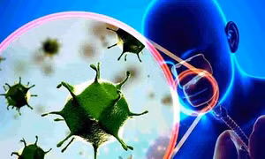 Dịch bệnh do chủng mới virus Corona: Kiểm tra phòng, chống dịch trong các doanh nghiệp có lao động nước ngoài
