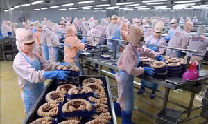 Chuyển hướng xuất khẩu