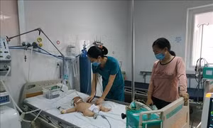 Đắk Lắk ghi nhận hai trường hợp mắc viêm não Nhật Bản