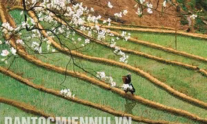 Sắc xuân vùng cao Trạm Tấu