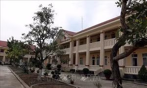 Dịch COVID-19: Thành phố Hồ Chí Minh đã tìm ra hành khách nhập cảnh trên chuyến bay có người Nhật nhiễm bệnh