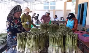 Ninh Thuận tập trung nguồn lực cho công tác giảm nghèo bền vững