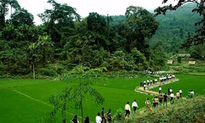 Huyện miền núi Định Hóa không còn thôn bản "trắng" đảng viên và chi bộ đảng