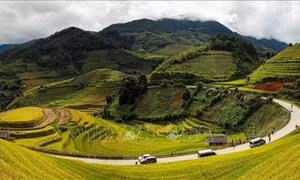 Ruộng bậc thang Mù Cang Chải được công nhận Di tích Quốc gia đặc biệt