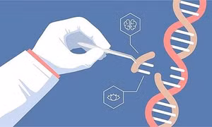 Cột mốc mới trong ứng dụng kỹ thuật chỉnh sửa gene CRISPR chống ung thư
