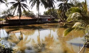 Người nông dân Khmer thành công từ mô hình Vườn - Ao - Chuồng
