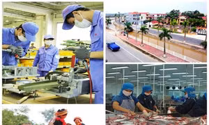 Chương trình hành động của Chính phủ phát huy các nguồn lực của nền kinh tế