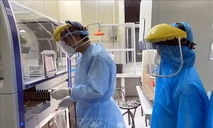 Dịch COVID-19: Ca thứ 123 dương tính với virus SARS-CoV-2 ở Việt Nam về từ Malaysia