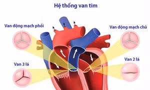 Cứu sống bệnh nhi mắc hội chứng Ehlers-Danlos hiếm gặp