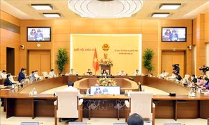 Không đưa người lao động ra nước ngoài làm những công việc phổ thông