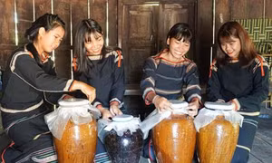 Tinh túy trong rượu cần của người M'nông