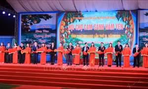 Tưng bừng Hội chợ cam sành Hàm Yên năm 2020