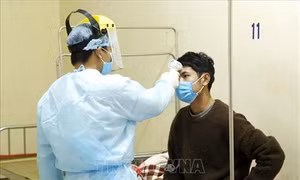 Dịch bệnh do chủng mới virus Corona: Việt Nam ghi nhận trường hợp nhiễm nCoV thứ 14