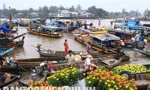 Sắc xuân Ngã Bảy