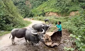 Thực tiễn xây dựng Đảng ở vùng biên giới Tây Bắc (Bài 2)